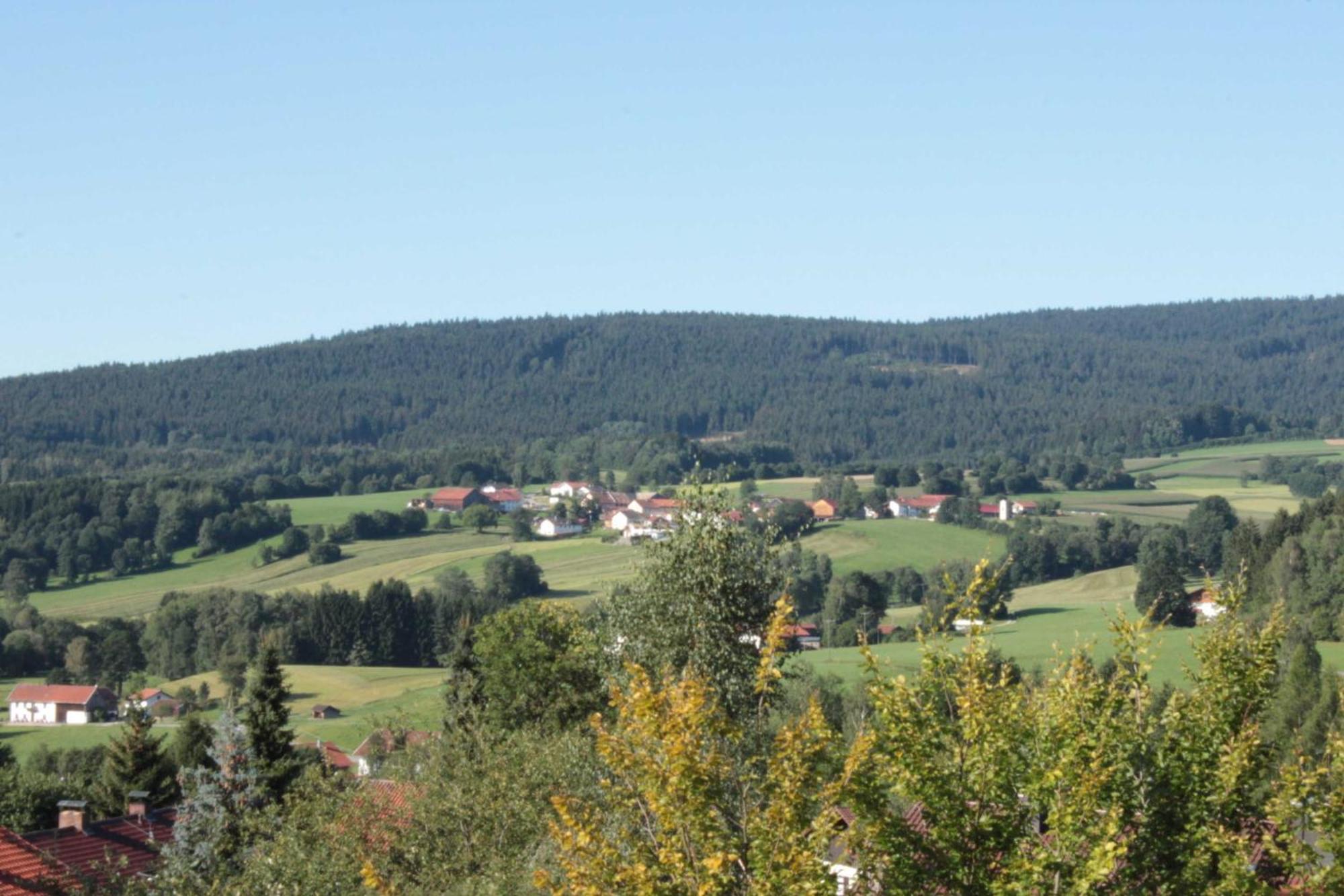 Fewo Mit Malerischem Bergblick Im Bischofsmais Luaran gambar