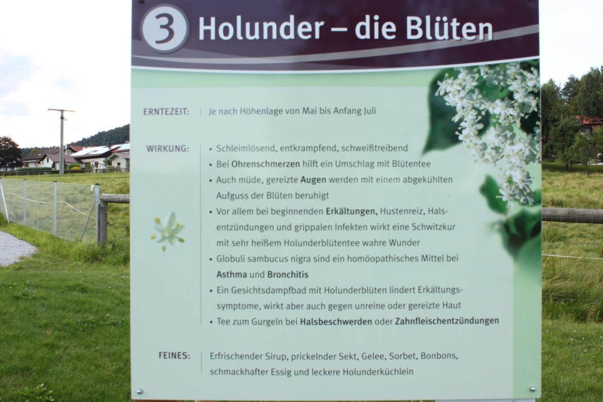 Fewo Mit Malerischem Bergblick Im Bischofsmais Luaran gambar