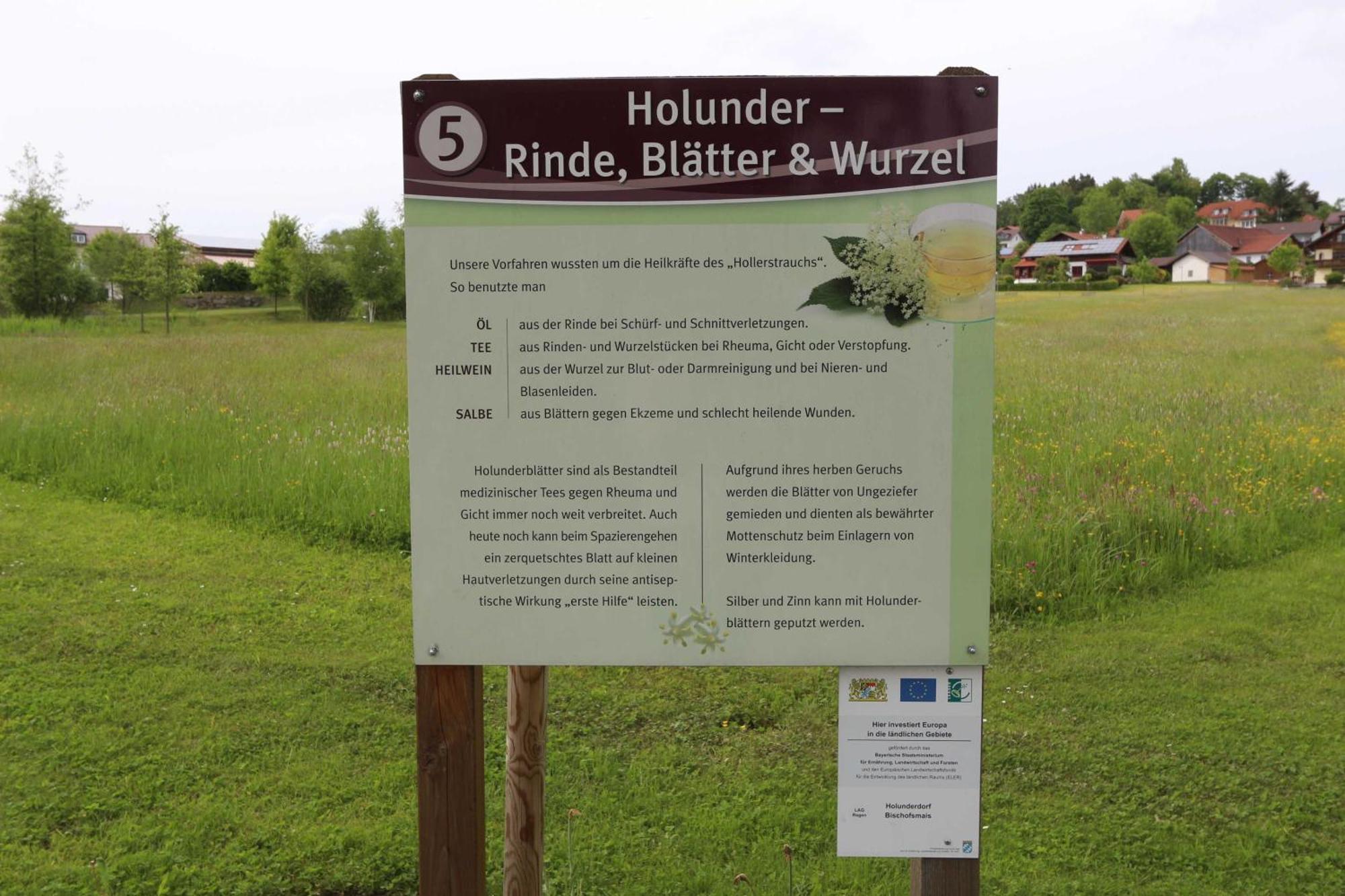 Fewo Mit Malerischem Bergblick Im Bischofsmais Luaran gambar