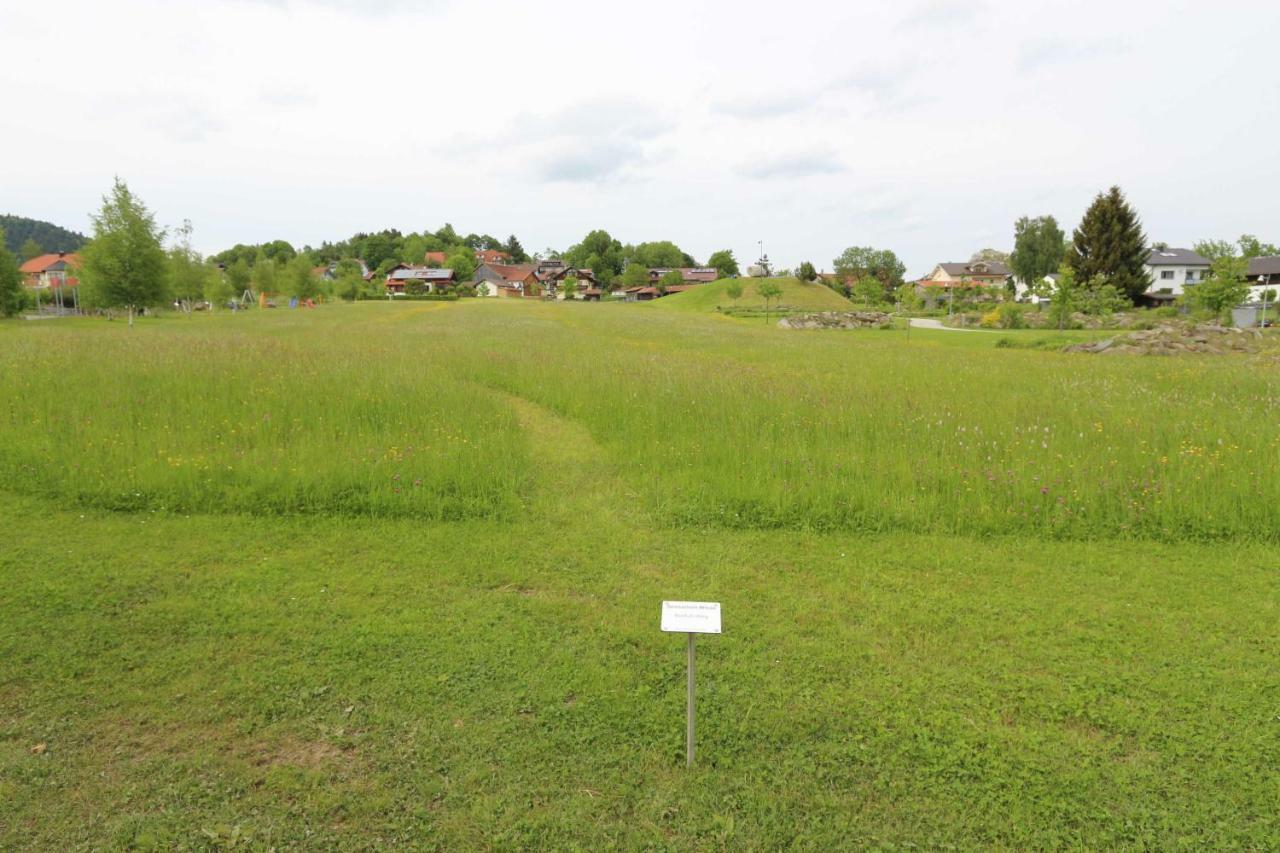 Fewo Mit Malerischem Bergblick Im Bischofsmais Luaran gambar